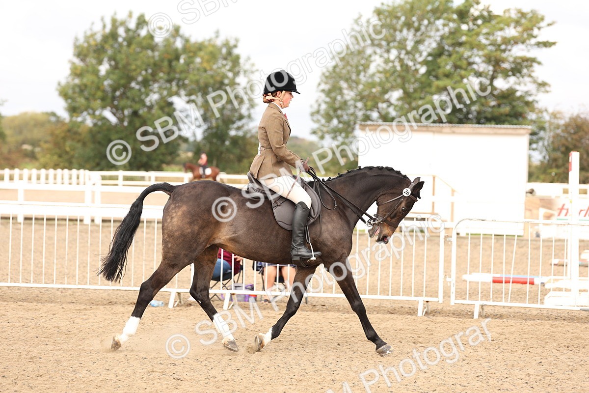 SBM_01539 - Class 52 - Ridden Veteran