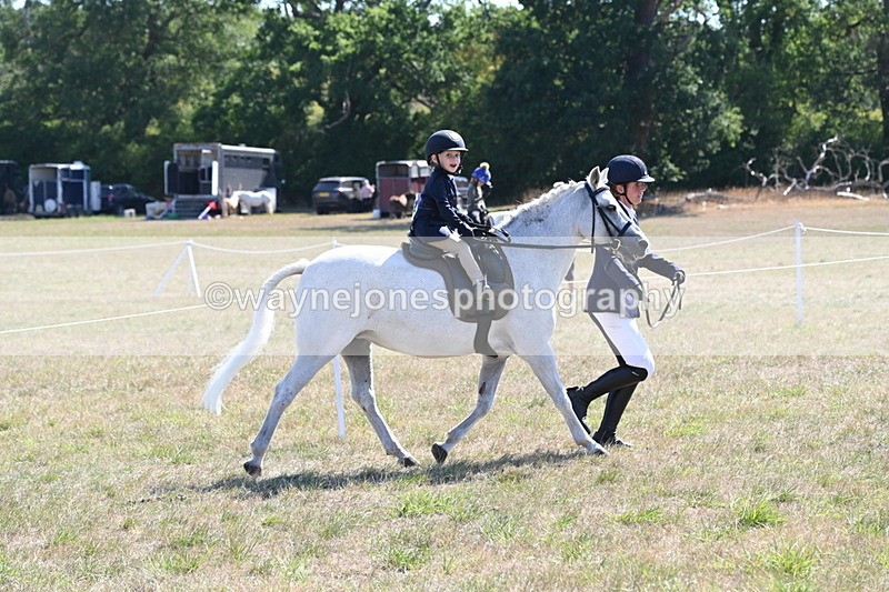 WJ6_7775 - Class 36 Lead Rein
