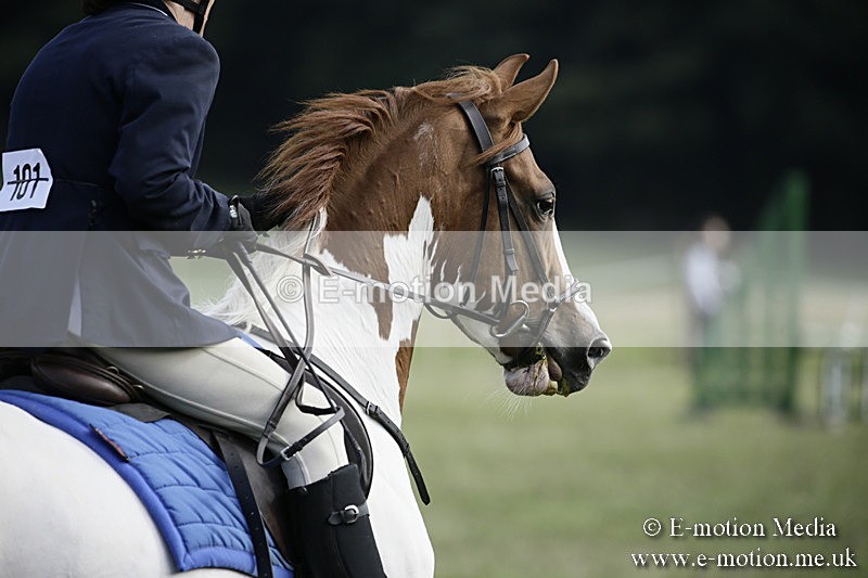 BVR090918 383 - BVRC Dressage and Show Jumping 09/09/18