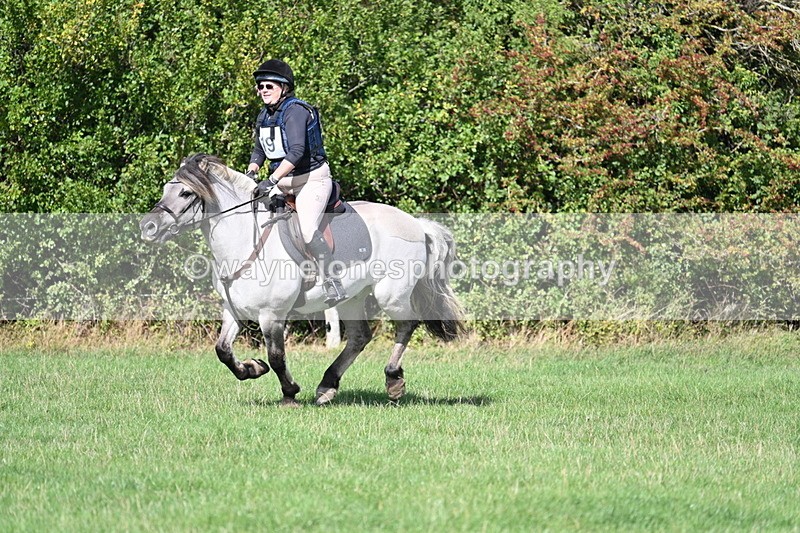 WJ7_9767 - Time 12:12 to 12:40