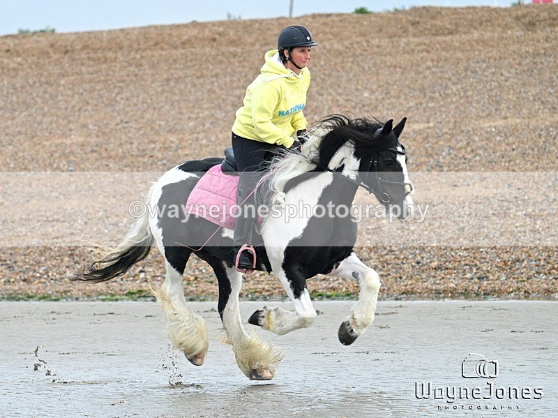 WJ7_9431 - Hayling Island Beach Shoot 22-09-24