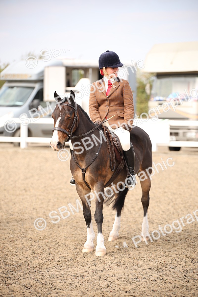 SBM_16104 - Class 408b - Working Veteran 70cm (20+)