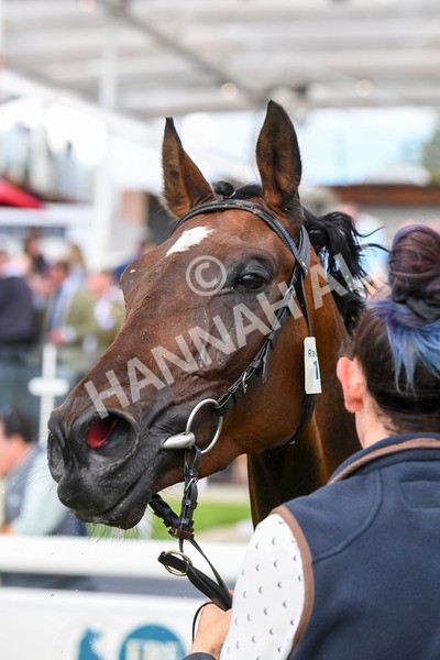 290723-Race 5-Baez-0878 - Race 5 4.35pm Sky Bet Prize Drop Handicap
