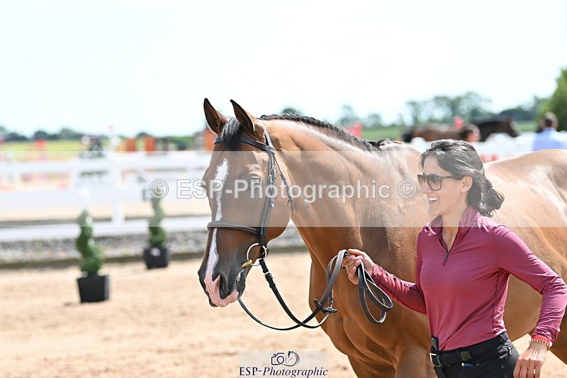 240717A-151030-02612 - Trot Up 3pm to 4pm