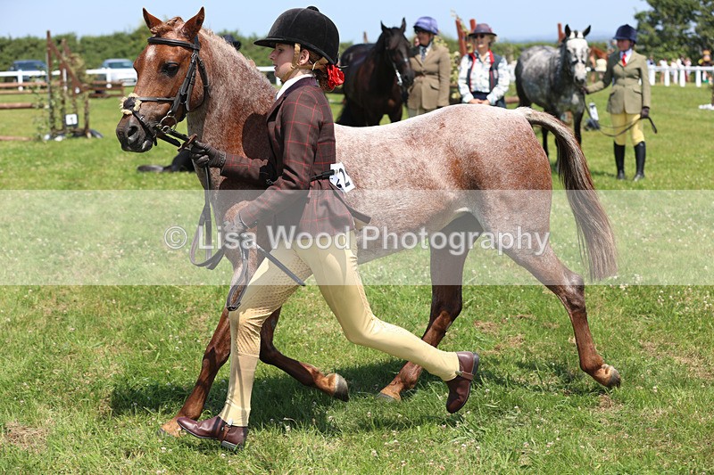JPP_2888 - Class 21: Working Hunter 60cm