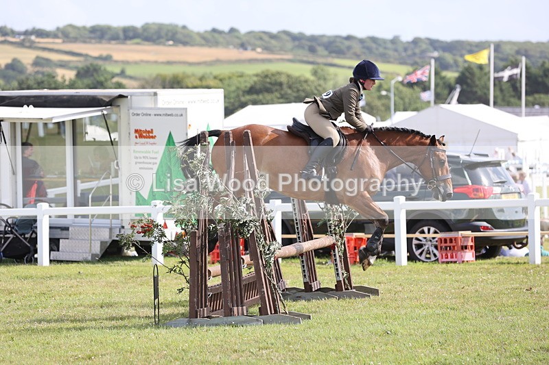 JPP_2637 - Class 20: Working Hunter 70cm