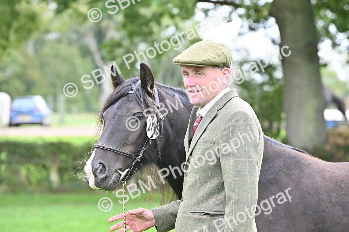 SBM_58157 - S47 - Mini Show Cob In Hand