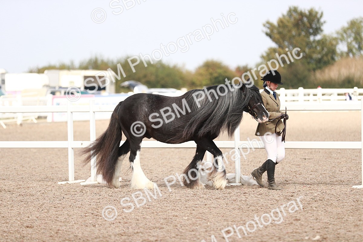 SBM_13818 - Class 209 IH Veteran Pony
