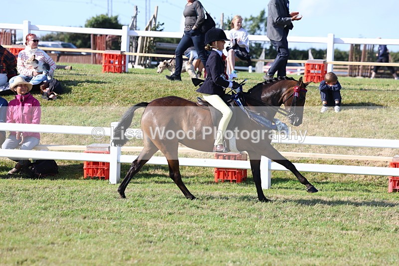 3E7A4272 - Supreme Championship