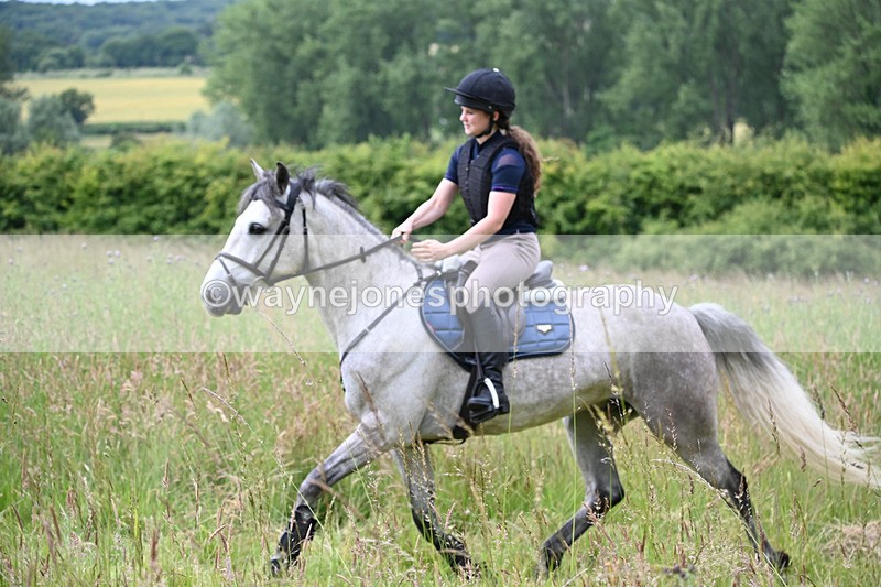 WJ6_8005 - Camera 1 Gallops