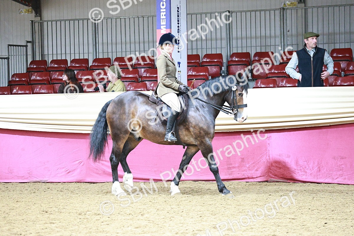 SBM_03109 - Class 5A - Area Ridden Veteran