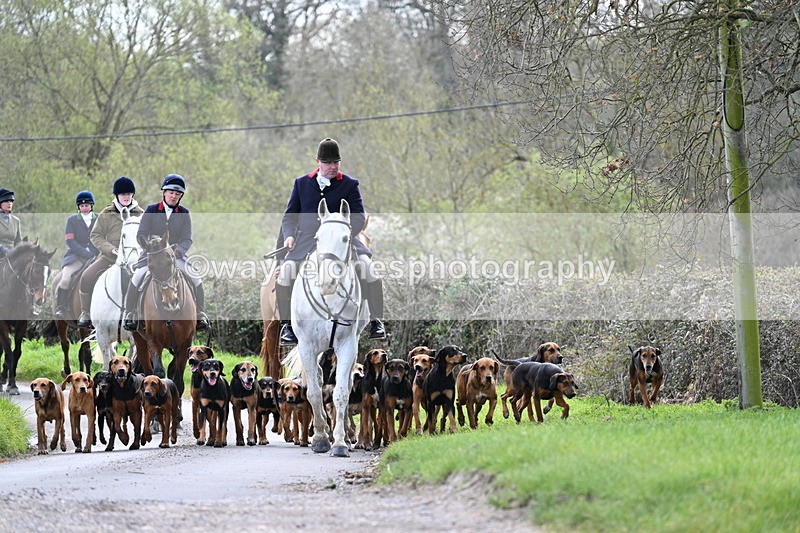 WJ7_9772 - Walk Home