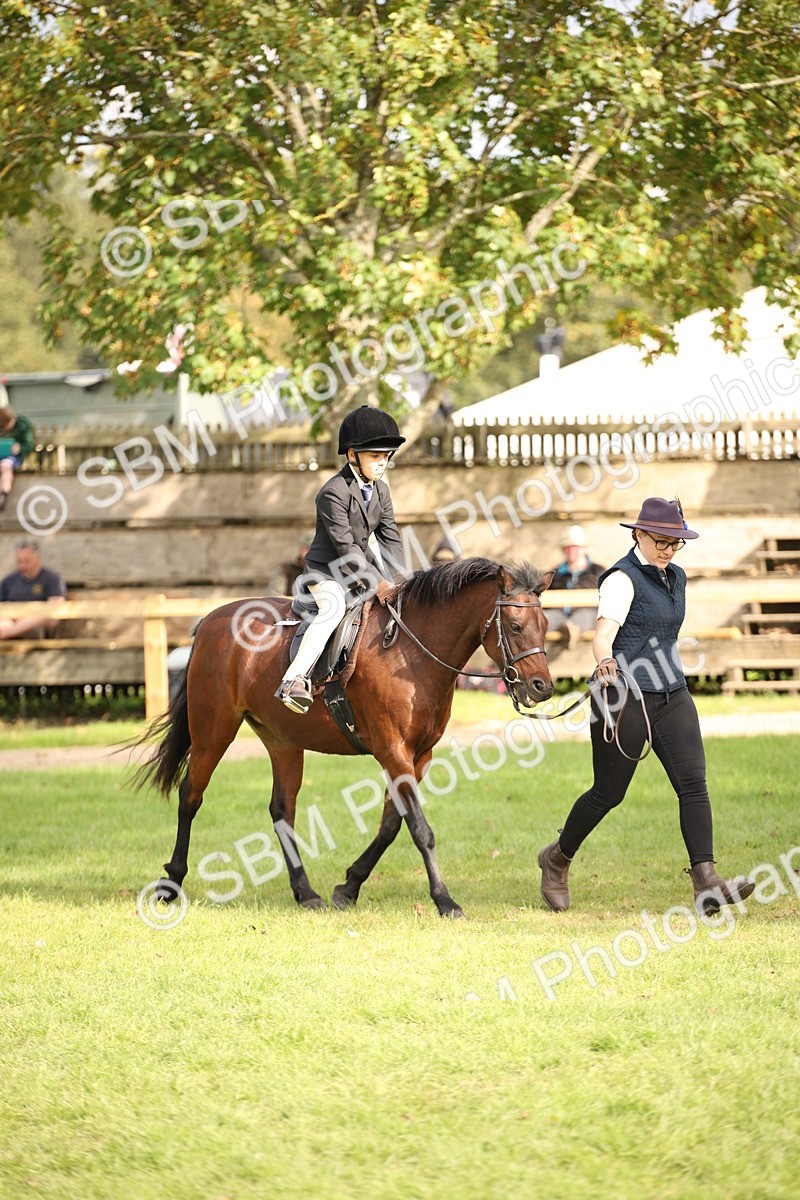 SBM_50028 - S26 - Young Veteran - Ridden