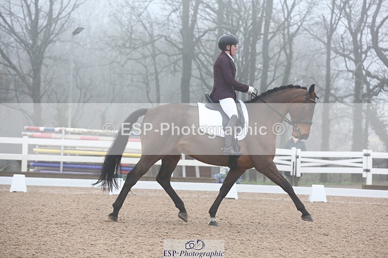 240217A-094527-00835 - 114-kelly.jewell-Juno.Watt