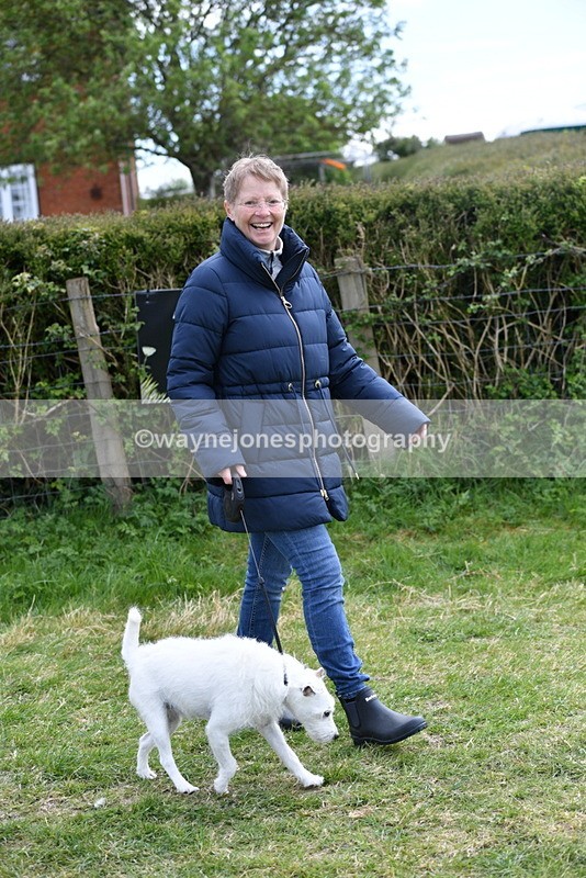 WJ5_0274 - Class 7 Best Terrier