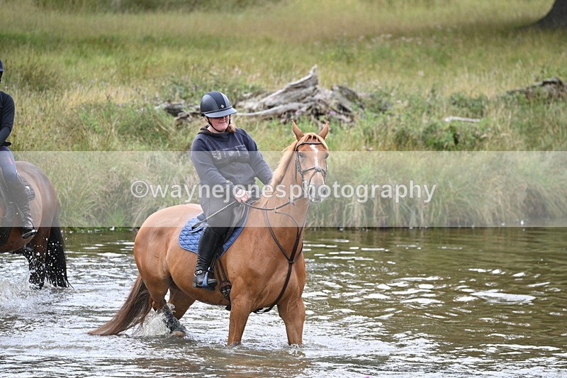 WJ7_0726 - Time at Water 09:19 to 10:04