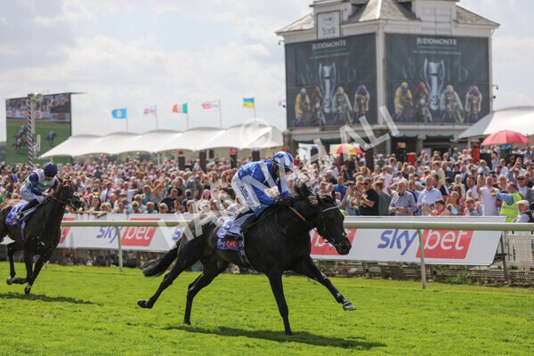 yr20082022r1-30 - Race 1 1.50pm Sky Bet & Symphony Group Strensall Stakes