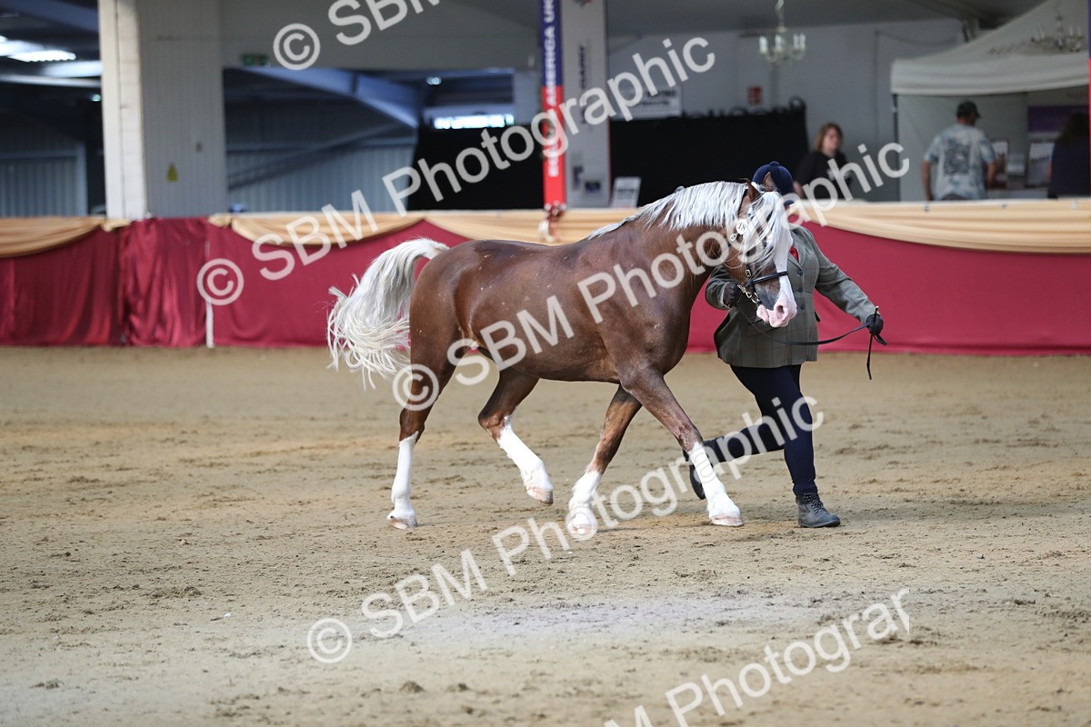 SBM_01352 - Class 3a Area IH Pre Vet
