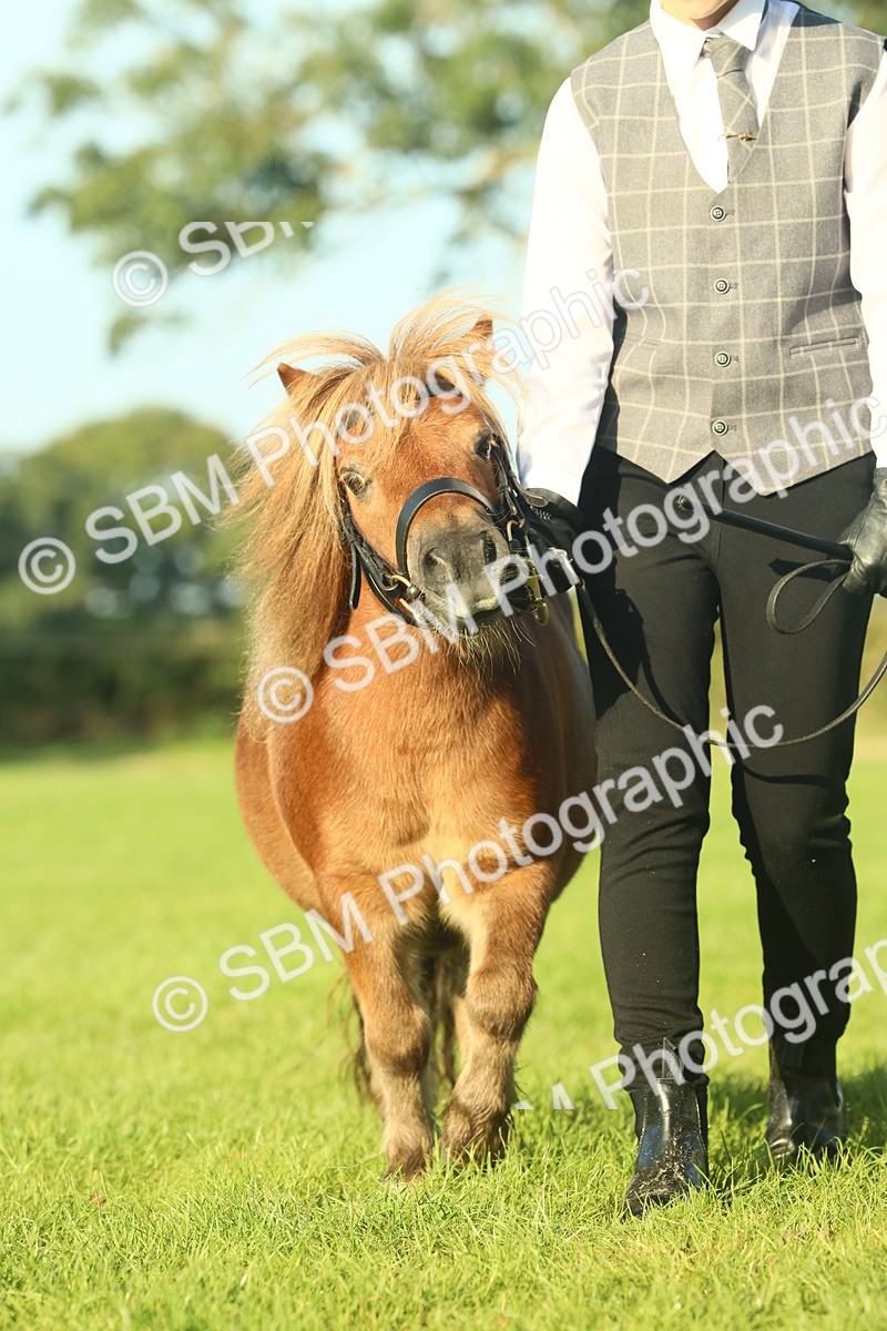 SBM_58440 - S37 - Starters In Hand Showing