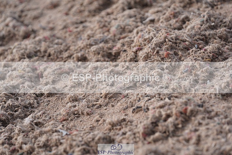 250322-105314-00188 - DR Elementary 1 Test