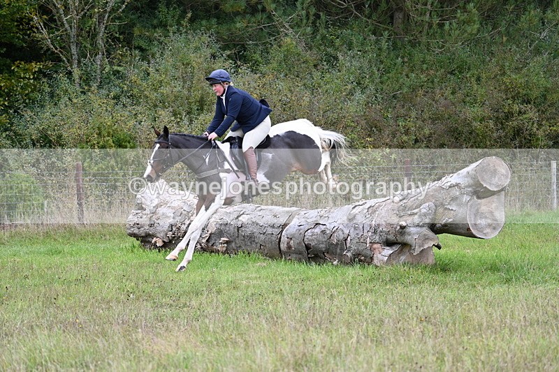 WJ7_3626 - Camera 1 Line 1