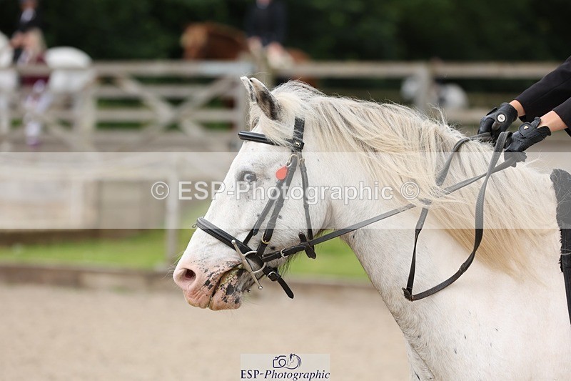 240616-110318-03321 - 60cm