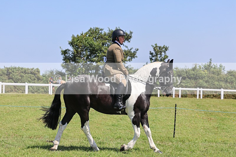 IMG_2320 - Class 38: Veteran Ridden