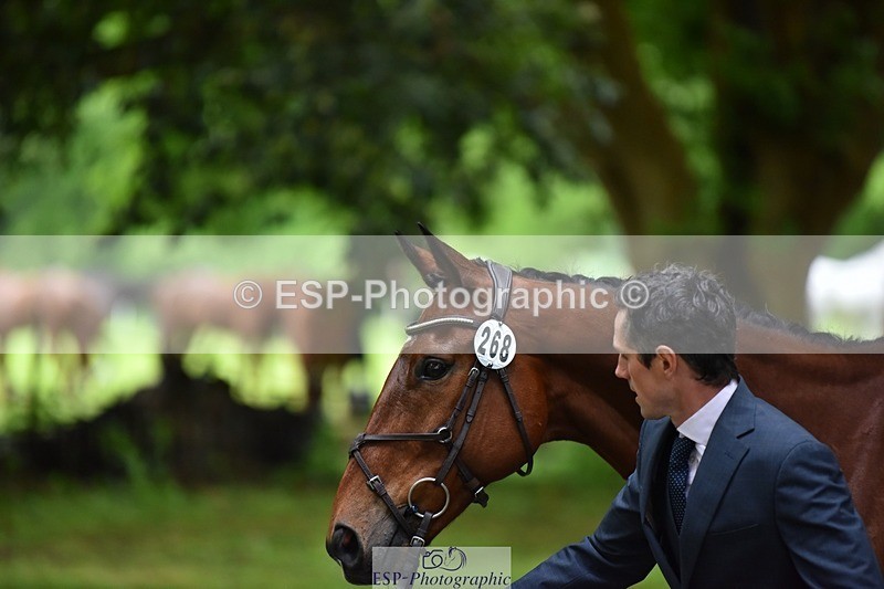 240522-163556-01034 - 268-TOM_DILLINGER-Hector_Payne