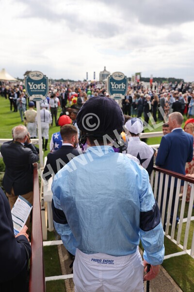 yr18082022r2-2 - Race 2 2.25pm Goffs UK Harry Beeby Premier Yearling Stakes