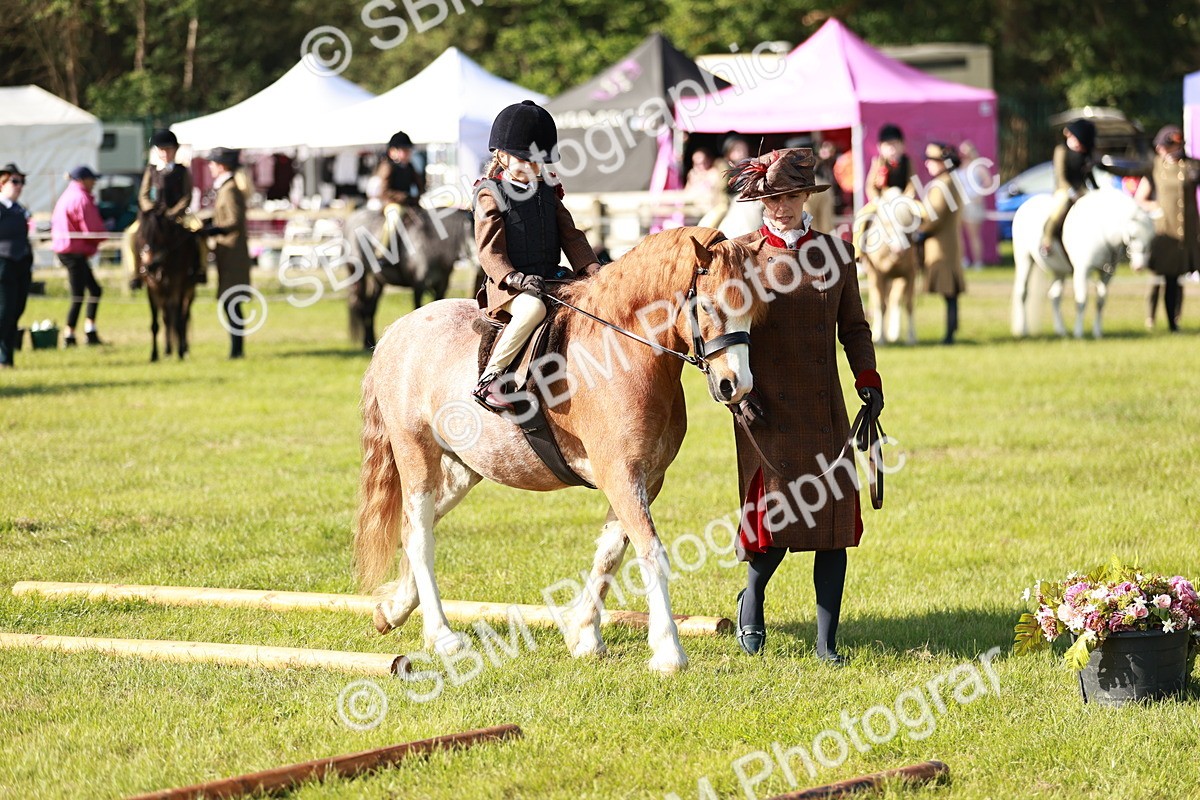 SBM_11196 - Class 106-107 - BSPS LIHS Working Sports Pony