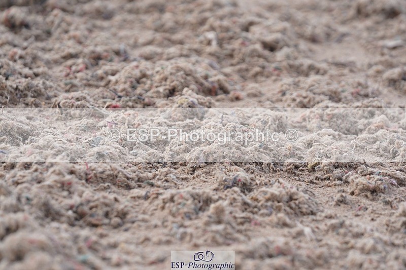 250322-103830-00160 - DR Novice 1 Test