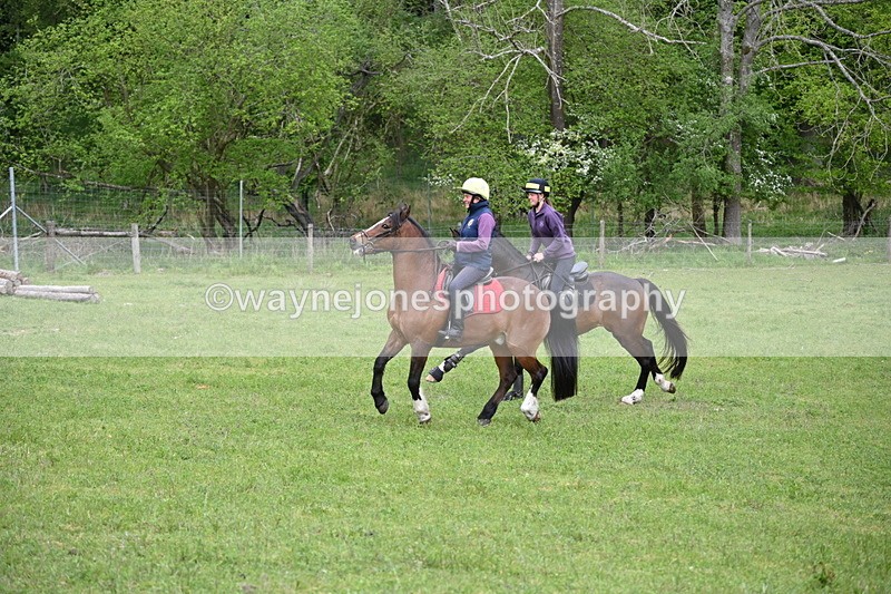 WJ6_3505 - Group 7 A camera ?