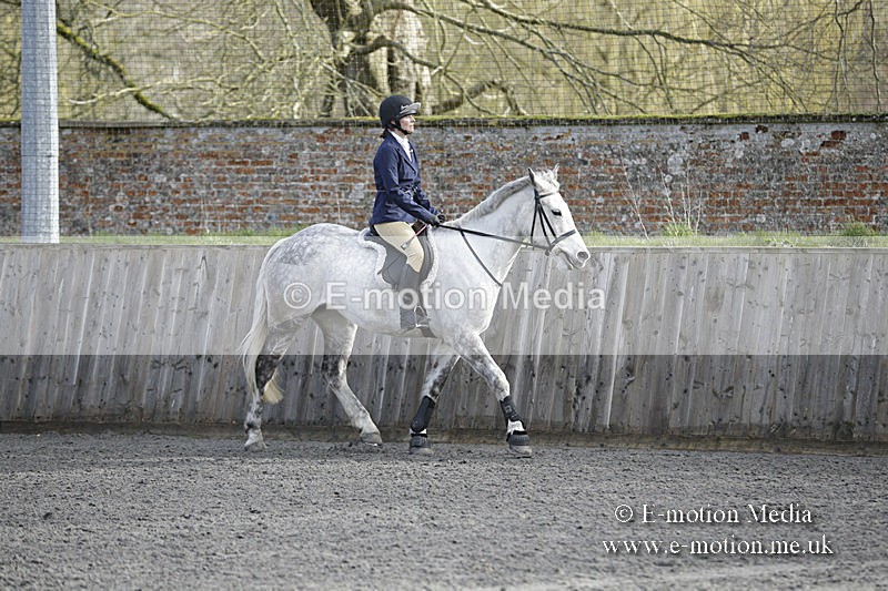 BVRC 050320 0067 - Bourne Valley riding Club Show Jumping Tidworth 08/03/20