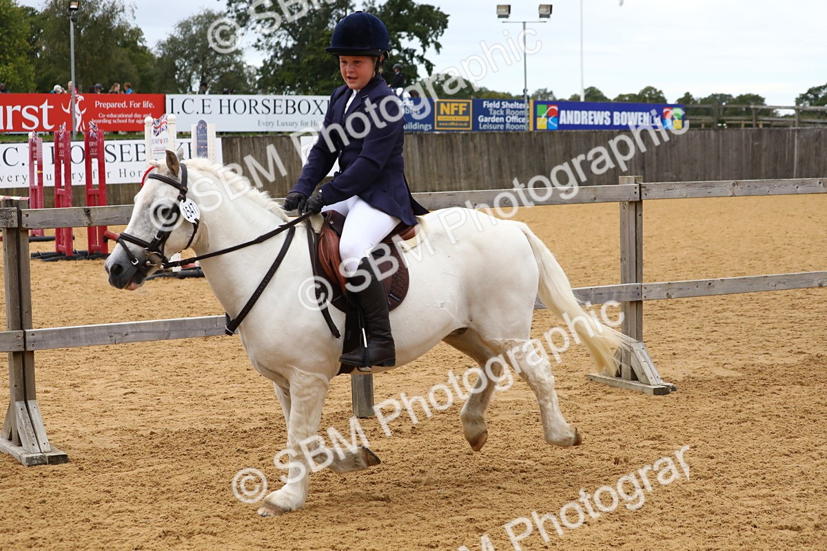 SBM_65180 - Supreme Championship 50cm 60cm 70cm