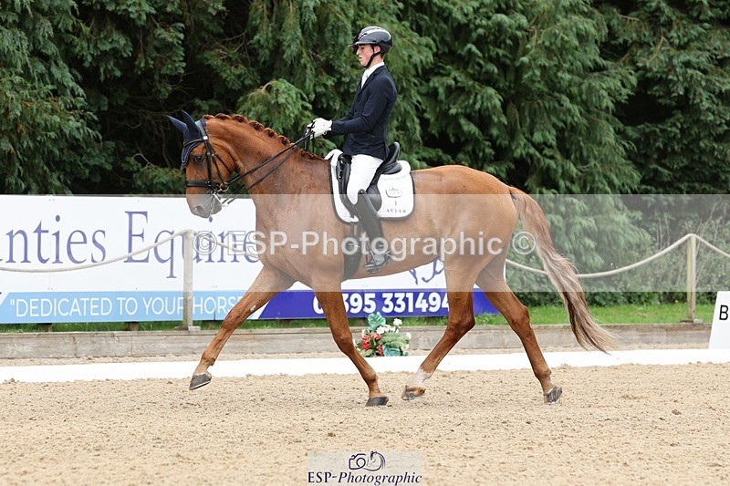 240810-155509-04121 - 208-Tom.Carter-Rubin.Regal