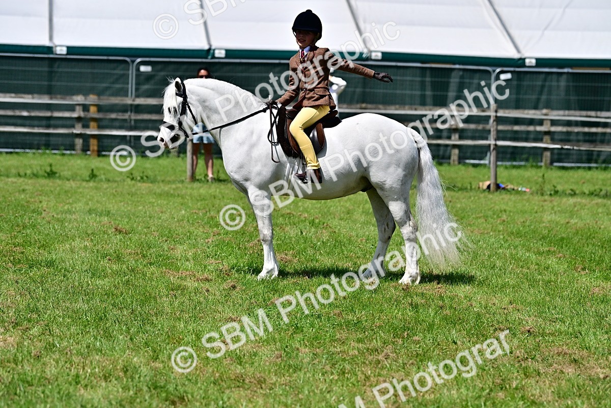 SBM_06070 - Class 59-60 - TSR M&M  Lear Rein and First Ridden Amateur of the year