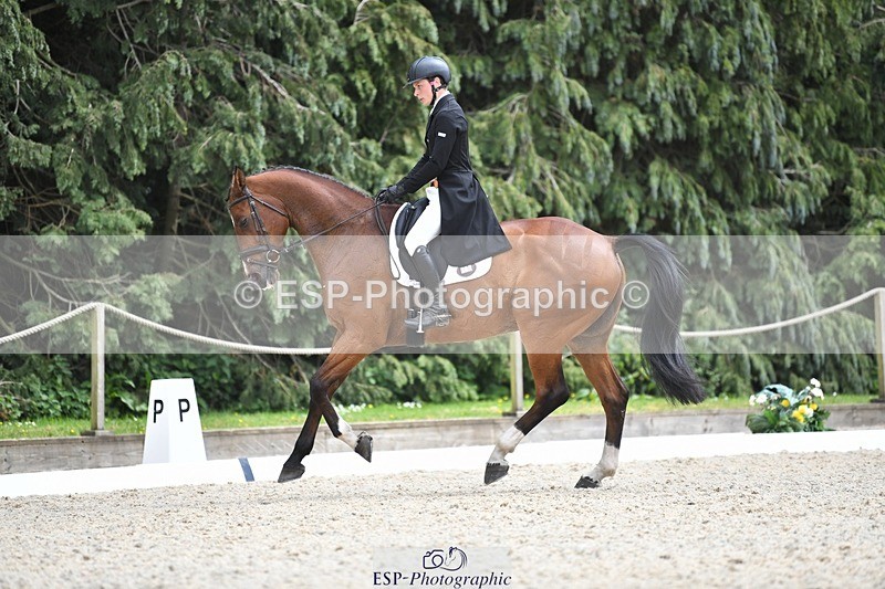 230525-140955-03100 - 318-JUST_HAVE_FAITH_TN-Alfie_Marshall-WEDTrotUp+DR