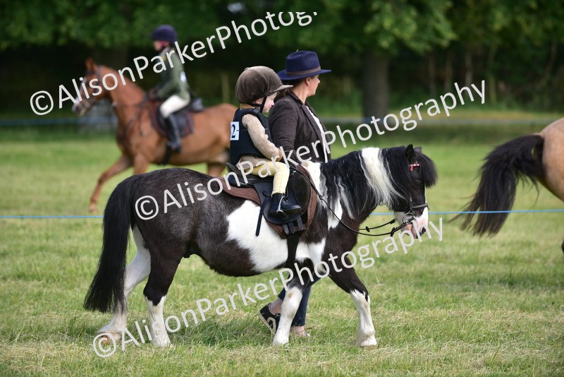 20260614-1128 - Class 11a - Lead Rein Pony (Unplaited)