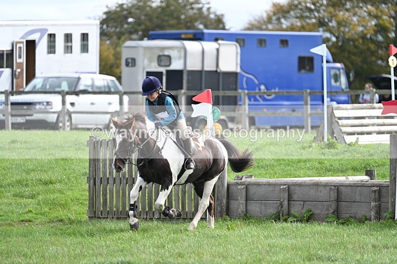 WJ7_8448 - 60cm Pairs