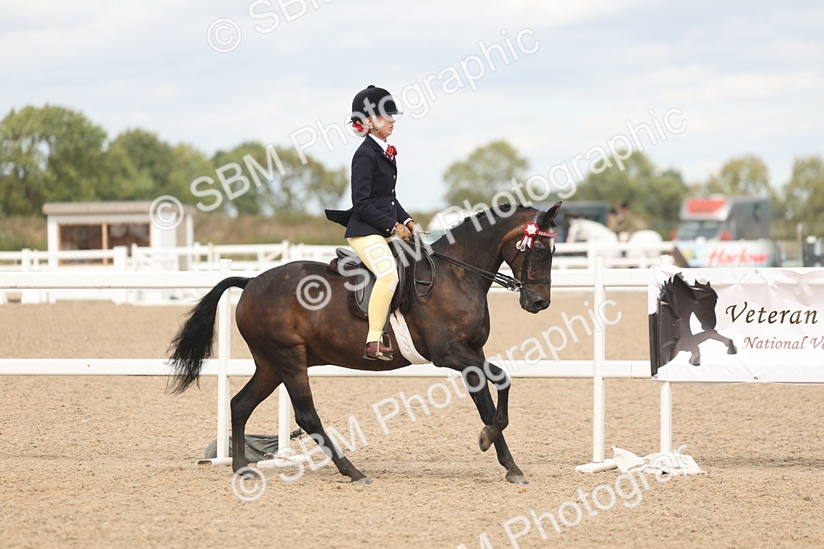 SBM_15976 - Class 311 - Ridden Show pony-Show hunter Pony