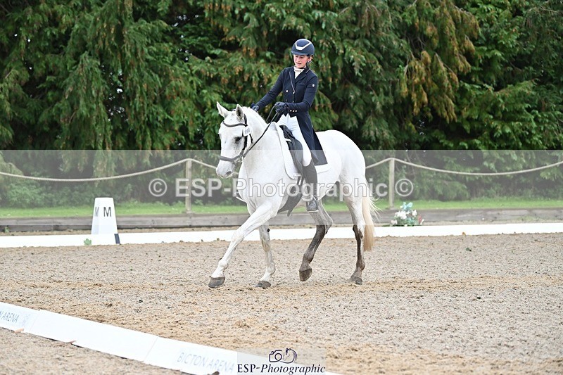 231019-122723-03106 - 114-LATINA'S.TWINKELING-Pippa.Haslam-DR