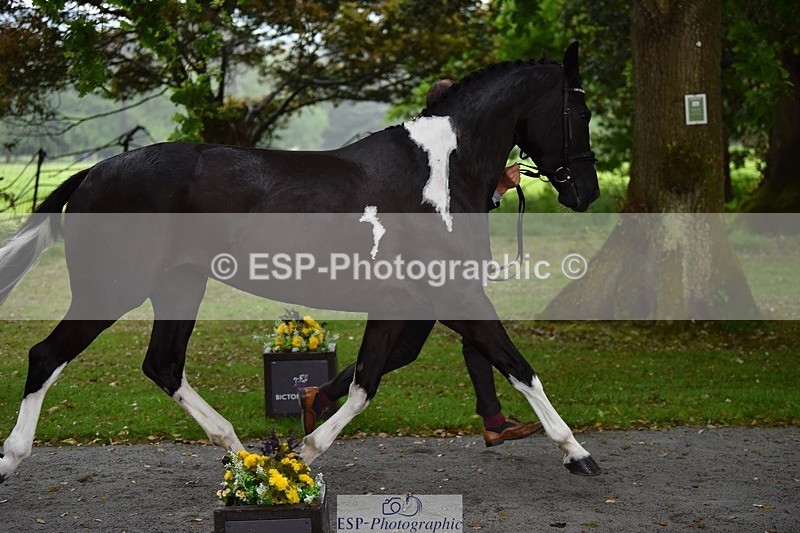 240522-151410-00192 - 377-HONEYBROOK_EXTRA_SPECIAL-Tom_Rowland