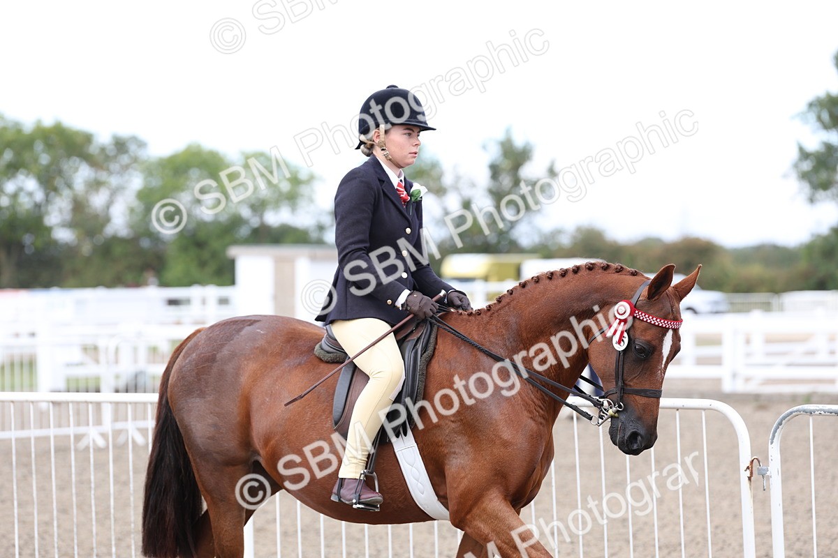 SBM_01455 - Class 52 - Ridden Veteran