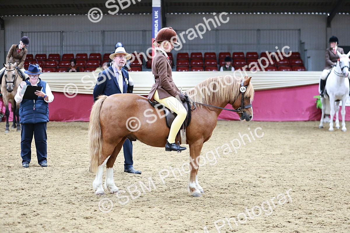 SBM_03564 - Class 6A Area Ridden Pre-Vet