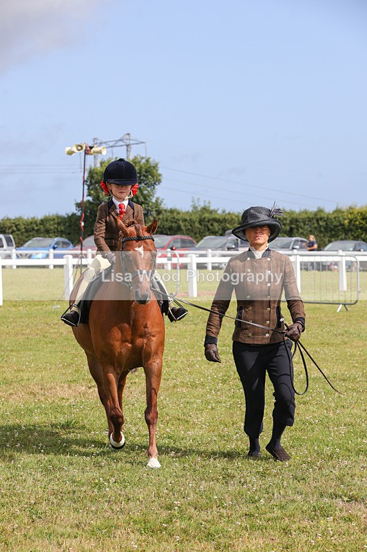 1X9A3630 - Class 29: Lead Rein SP/SHP