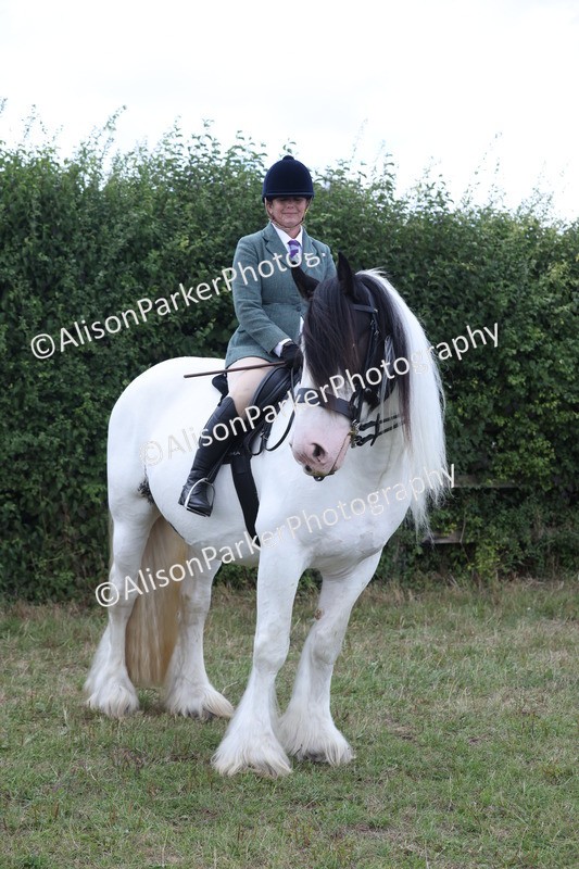 20250831-4301 - Class 20 - Ridden Coloured