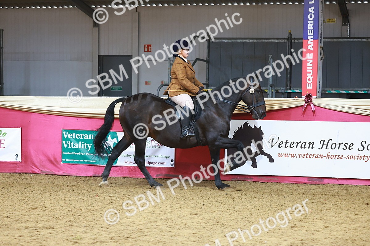 SBM_09418 - Class 102 - HOYS Veteran Qualifier - Ridden Veteran