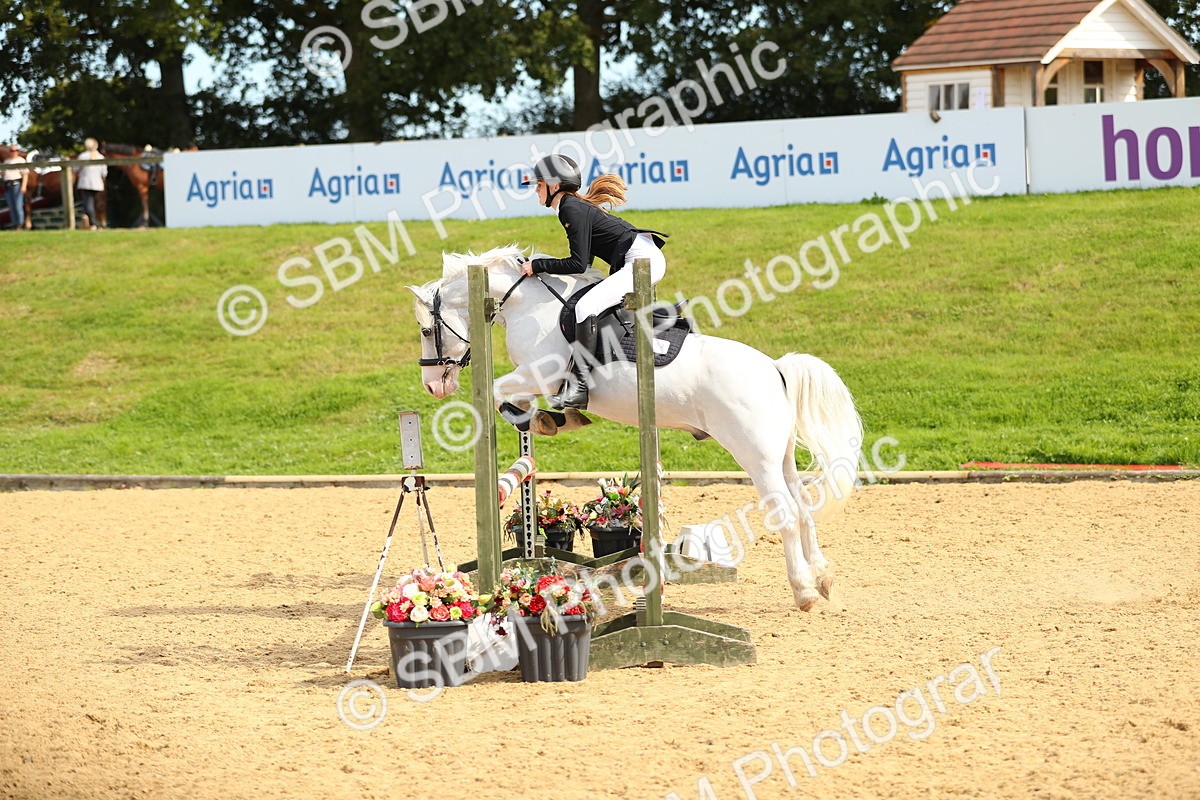 SBM_67264 - J17 - Junior Pony 80cm Championship