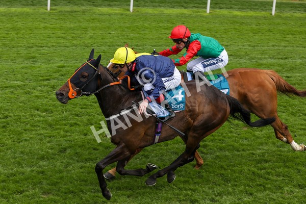 160524-Race 2-Point Lynas-1811 - Race 2 2.45pm Oakmere Homes Hambleton Handicap