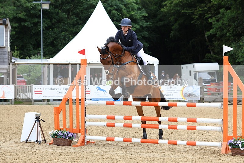 3E7A5986 - Class 4: Senior British Novice/90cm open